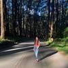 himanitimbadia